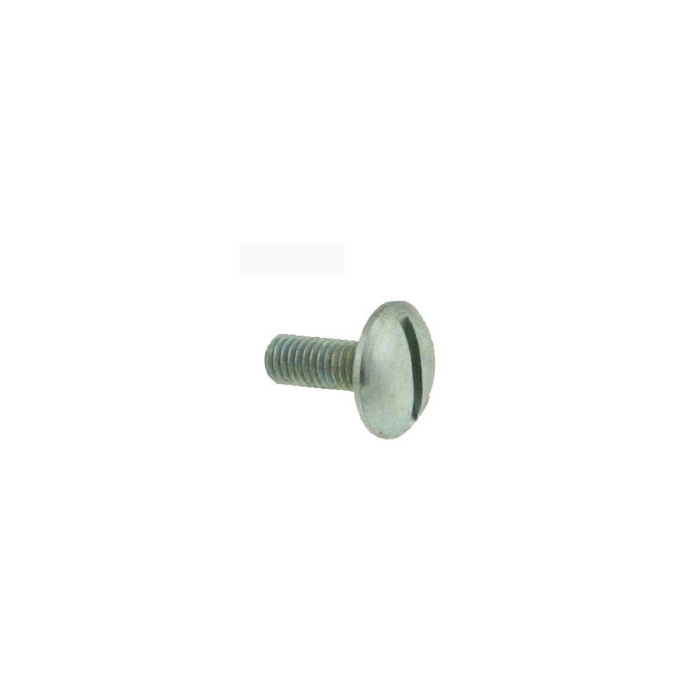 TORNILLO GUARDABARROS
