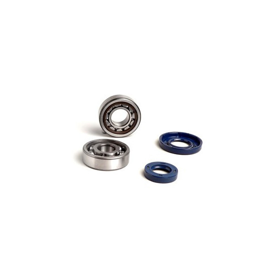 KIT RODAMIENTOS Y RETENES VESPA PKS